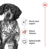 Image showing muscle mass support, natural defences, and optimal health support as key product benefits, with icons and a dog beside the feature list.