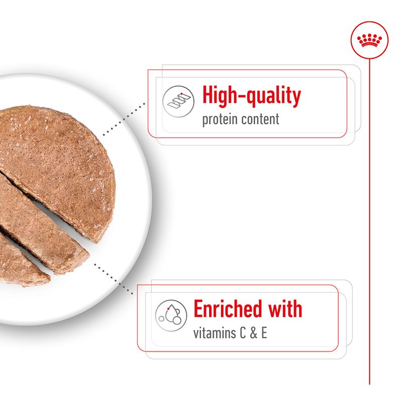 Product features: high-quality protein content and enriched with vitamins C and E, shown alongside a sliced portion of food.