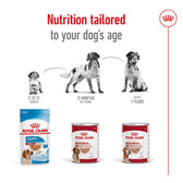 Nutrition tailored to your dog's age, showing food options for 2-12 months, 12 months to 7 years, and after 7 years with corresponding Royal Canin products.