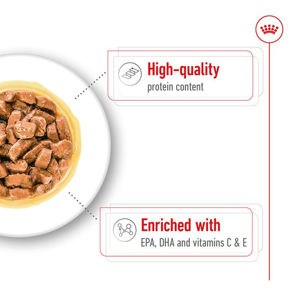 Royal Canin Medium Ageing in Gravy || Royal Canin Size || view 5