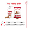 Royal Canin Medium Ageing in Gravy || Royal Canin Size || view 8