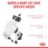 Royal Canin Mother & Babycat || undefined || view 4