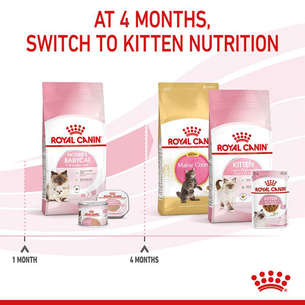 Royal Canin Mother & Babycat || undefined || view 11