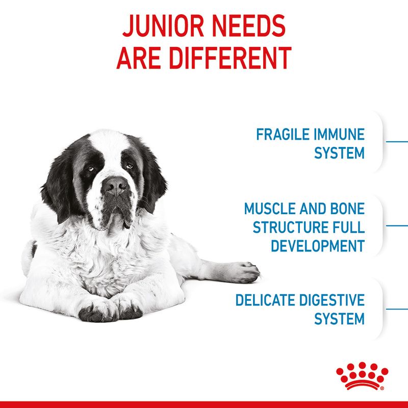 Royal Canin Giant Junior || Royal Canin Size || view 6