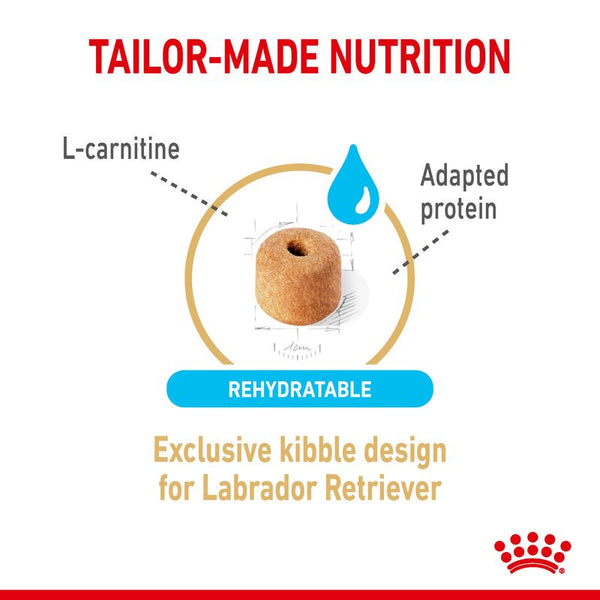 Royal Canin Labrador Retriever Adult 5+ || Royal Canin Breed || view 4