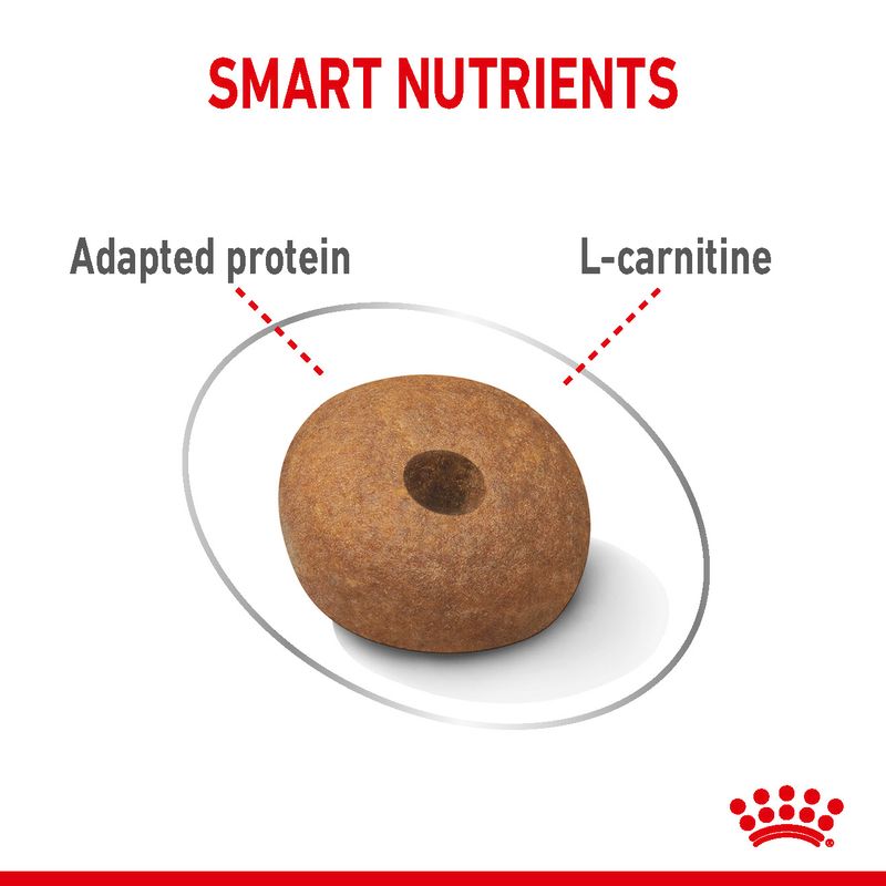 Royal Canin Medium Light Weight Care || Royal Canin Care Nutrition || view 4