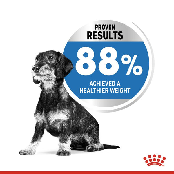 Royal Canin Mini Light Weight Care || Royal Canin Care Nutrition || view 6