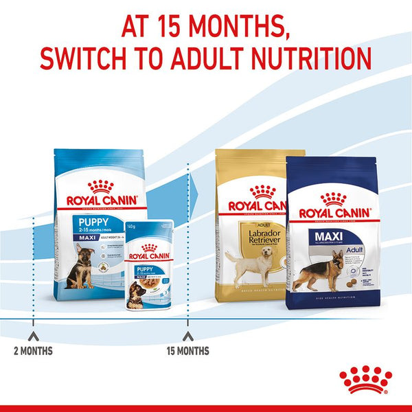 Royal Canin Maxi Puppy || Royal Canin Size || view 12