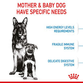 Royal Canin Maxi Starter Mother & Babydog || Royal Canin Size || view 5