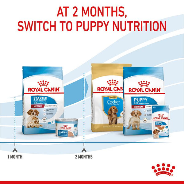 Royal Canin Medium Starter Mother & Babydog || Royal Canin Size || view 11