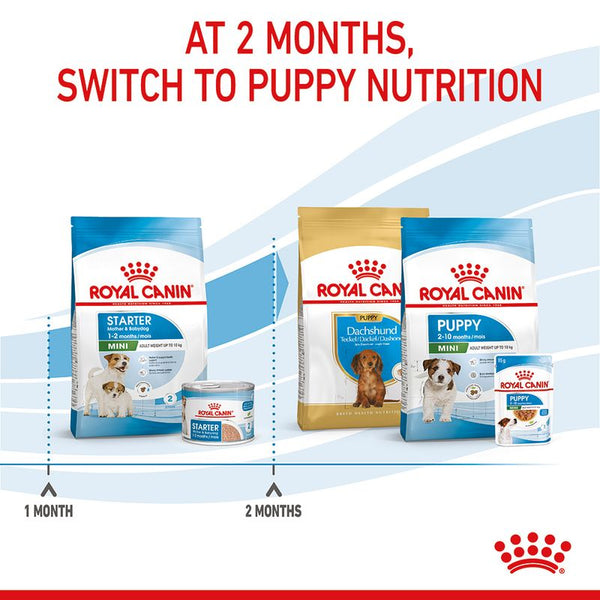 Royal Canin Mini Starter Mother & Babydog || Royal Canin Size || view 12
