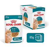 Royal Canin Ageing 11+ Chunks in Gravy