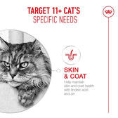 Royal Canin Ageing 11+ Chunks in Gravy