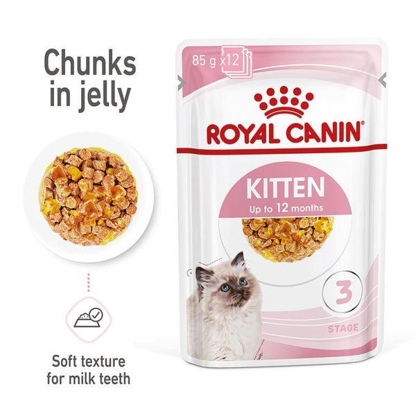 Royal Canin Kitten in Jelly || undefined || view 1
