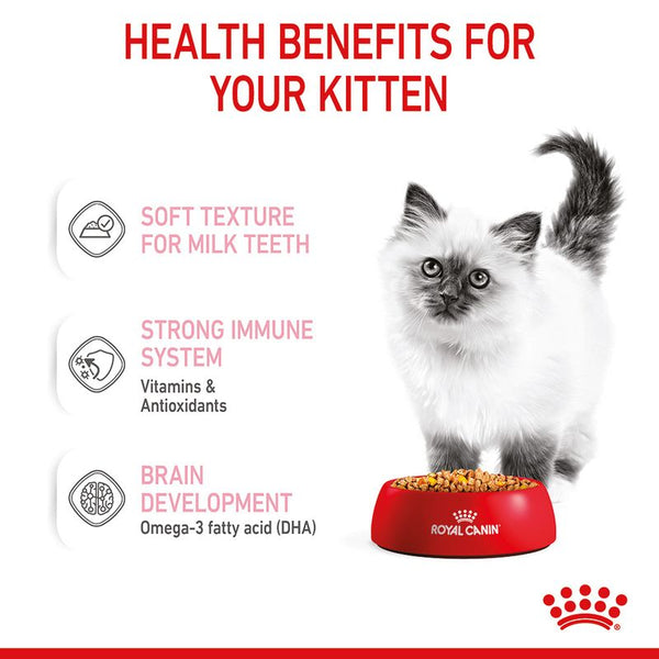 Royal Canin Kitten in Jelly || undefined || view 6