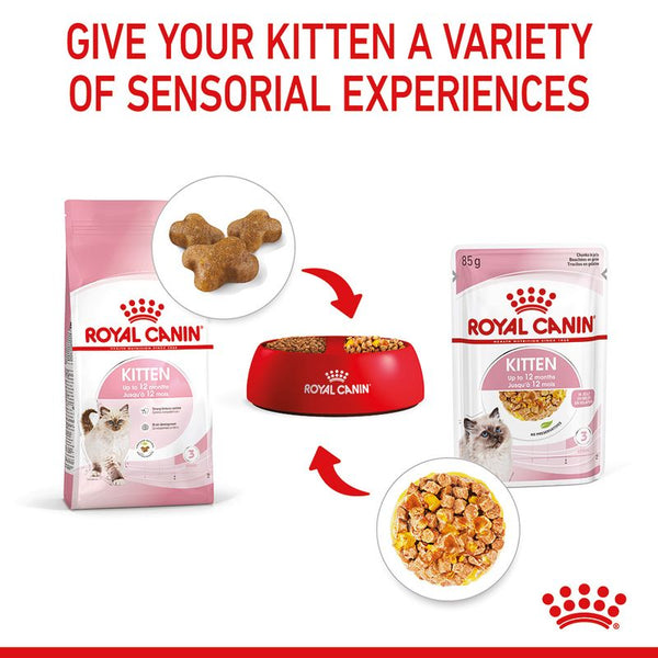 Royal Canin Kitten in Jelly || undefined || view 7