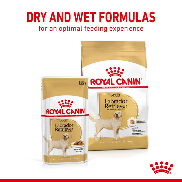 Royal Canin Labrador Retriever Adult in Gravy || Royal Canin Breed || view 5