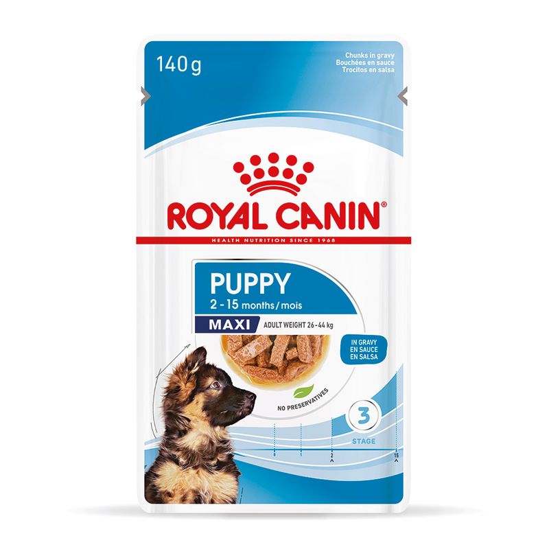 Royal Canin Maxi Puppy in Gravy || Royal Canin Size || view 3