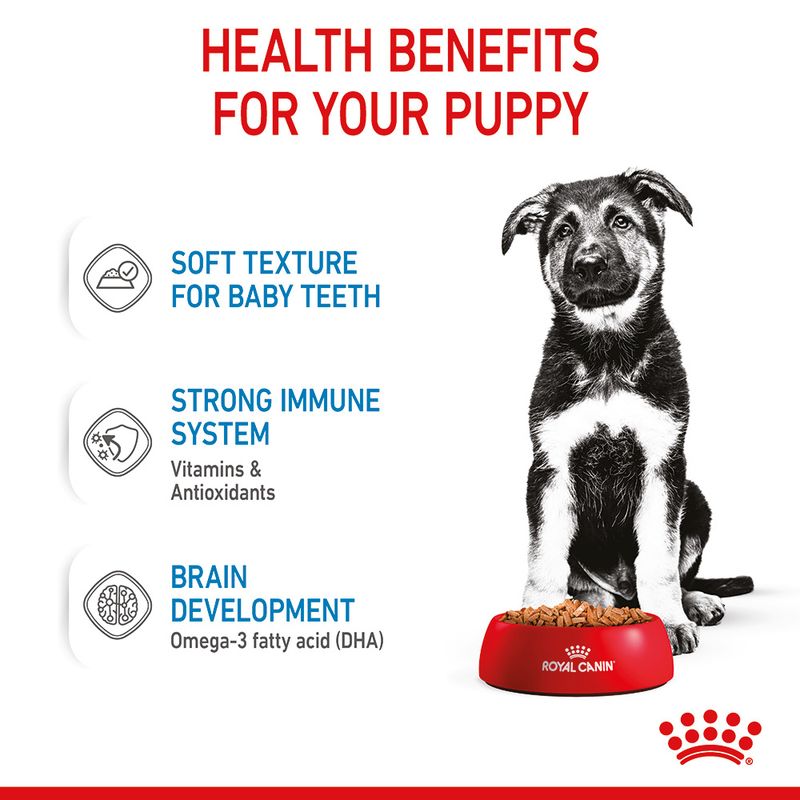 Royal Canin Maxi Puppy in Gravy || Royal Canin Size || view 6