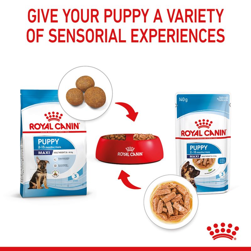 Royal Canin Maxi Puppy in Gravy || Royal Canin Size || view 7