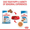 Royal Canin Medium Puppy in Gravy || Royal Canin Size || view 7