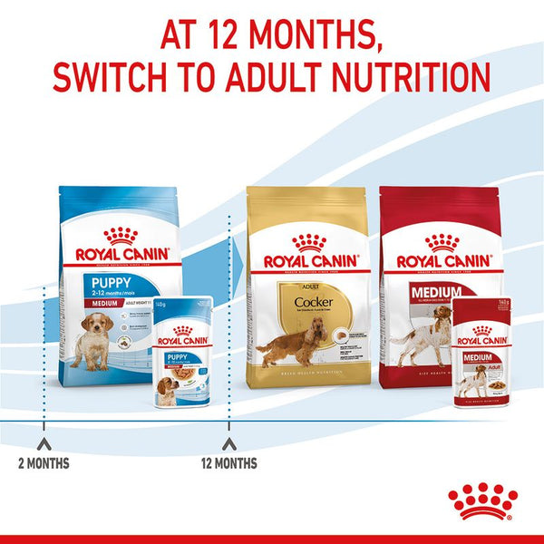 Royal Canin Medium Puppy in Gravy || Royal Canin Size || view 9