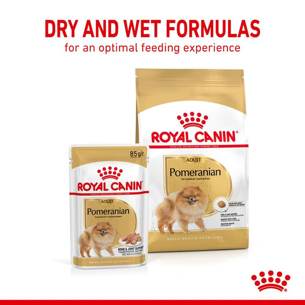 Royal Canin Pomeranian Adult Loaf || Royal Canin Breed || view 5