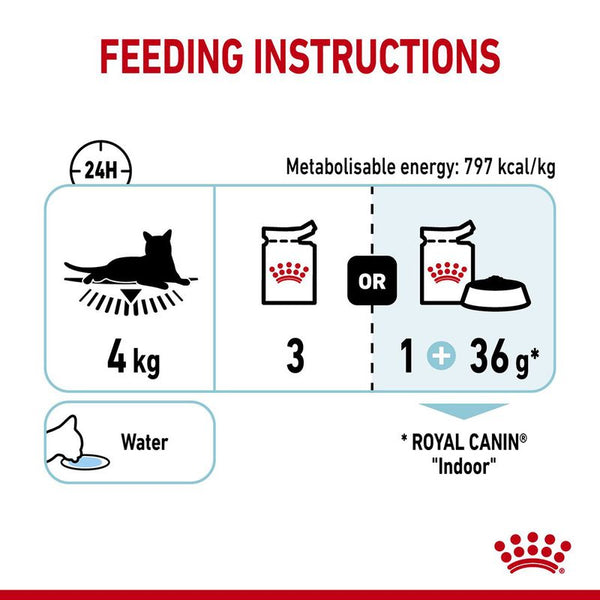Royal Canin Sensory Feel in Jelly || Royal Canin || view 10