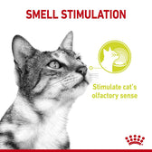 Smell stimulation feature. Stimulate cat’s olfactory sense.