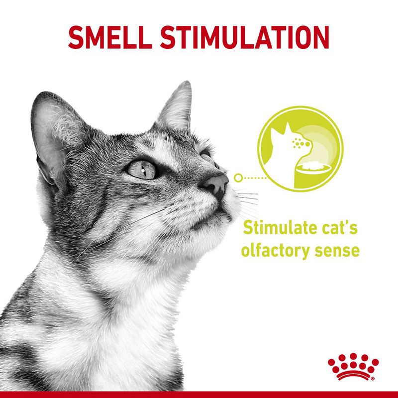 Smell stimulation feature. Stimulate cat’s olfactory sense.