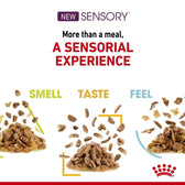 Product highlights sensorial experience with three features: smell, taste, and feel, shown by images of food pieces under each heading. Text reads: More than a meal, a sensorial experience.