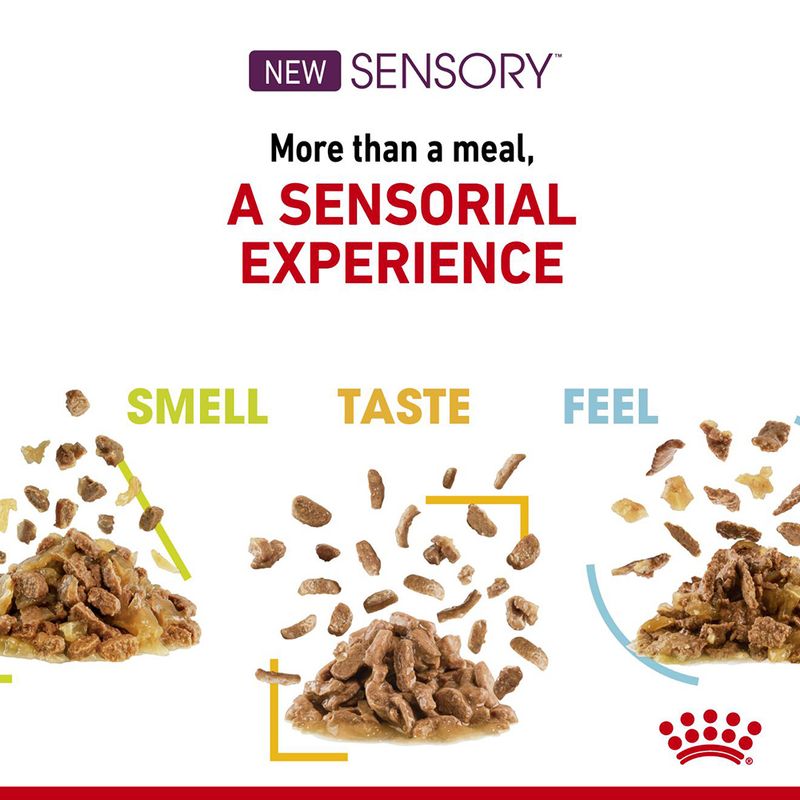 Product highlights sensorial experience with three features: smell, taste, and feel, shown by images of food pieces under each heading. Text reads: More than a meal, a sensorial experience.