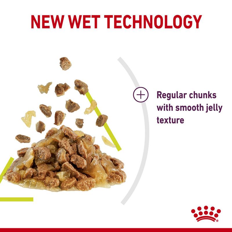 New wet technology with regular chunks in a smooth jelly texture, as shown by food pieces and descriptive text.