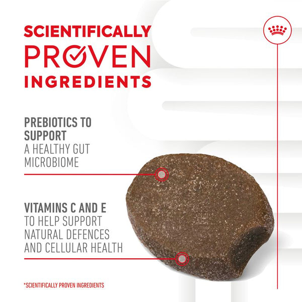 Royal Canin Puppy Immunity & Digestion Supplement Chews || Royal Canin || view 5