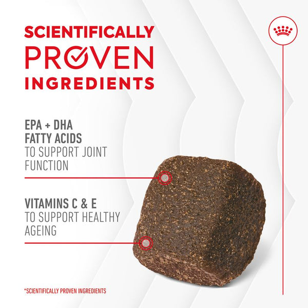Royal Canin Joint & Ageing Adult Supplement Chews || Royal Canin || view 3