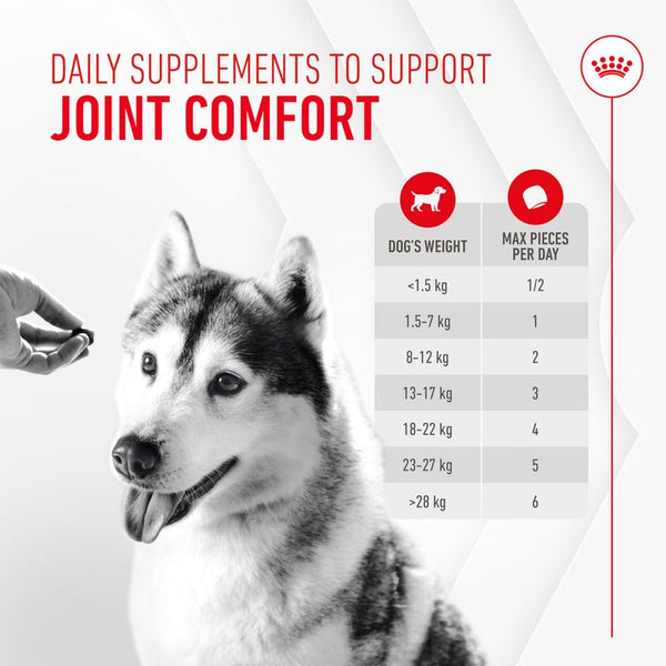 Royal Canin Joint & Ageing Adult Supplement Chews || Royal Canin || view 4