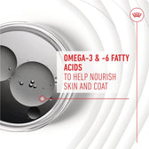 Royal Canin Skin & Coat Adult Supplement Chews || Royal Canin || view 4