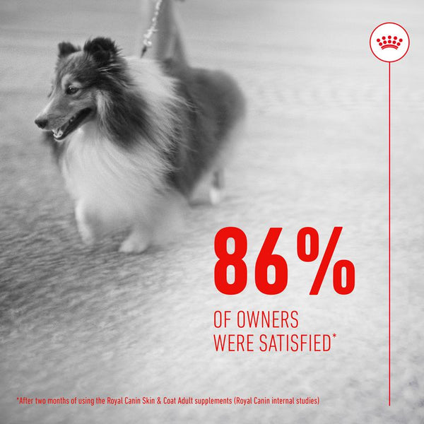 Royal Canin Skin & Coat Adult Supplement Chews || Royal Canin || view 7