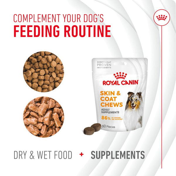 Royal Canin Skin & Coat Adult Supplement Chews || Royal Canin || view 8