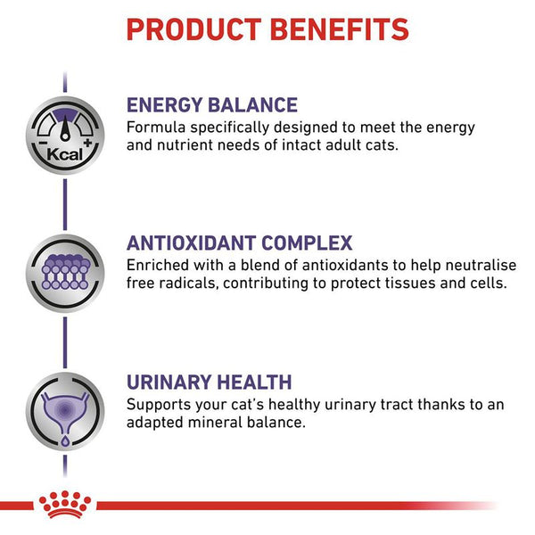 Royal Canin Expert Feline Adult || Royal Canin Veterinary Diet || view 5