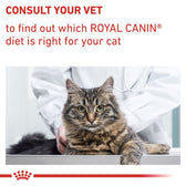 Royal Canin Expert Feline Adult || Royal Canin Veterinary Diet || view 10
