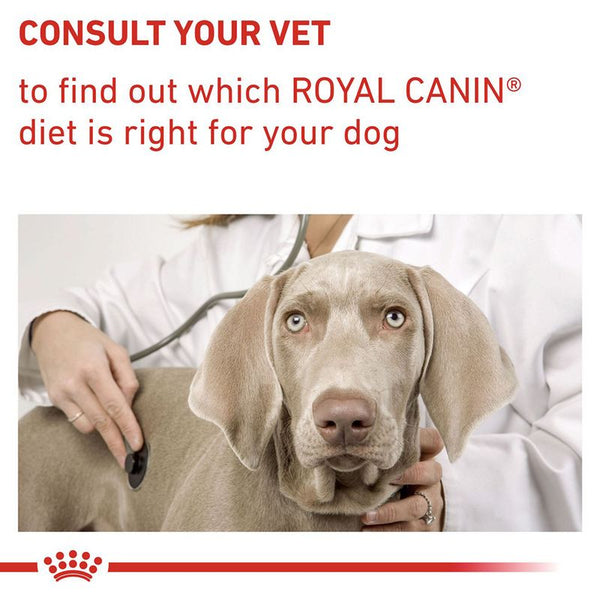 Royal Canin Expert Mature Consult Medium Dog || Royal Canin Veterinary Diet || view 9