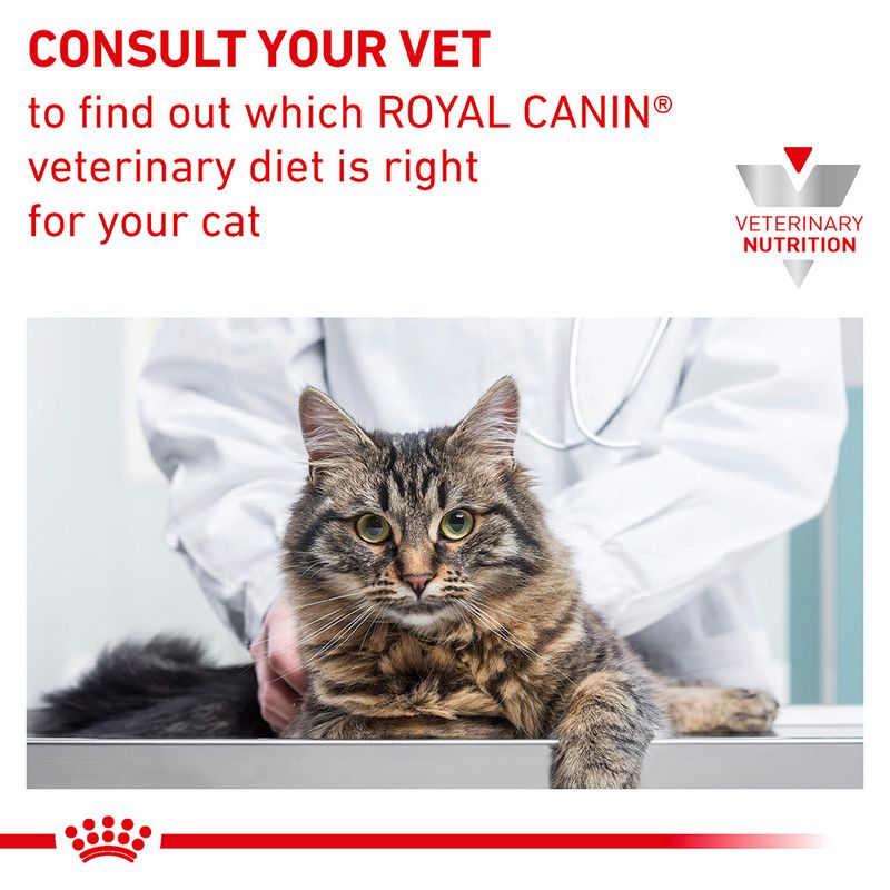 Royal Canin Veterinary Cat - Urinary S/O Moderate Calorie || undefined || view 6