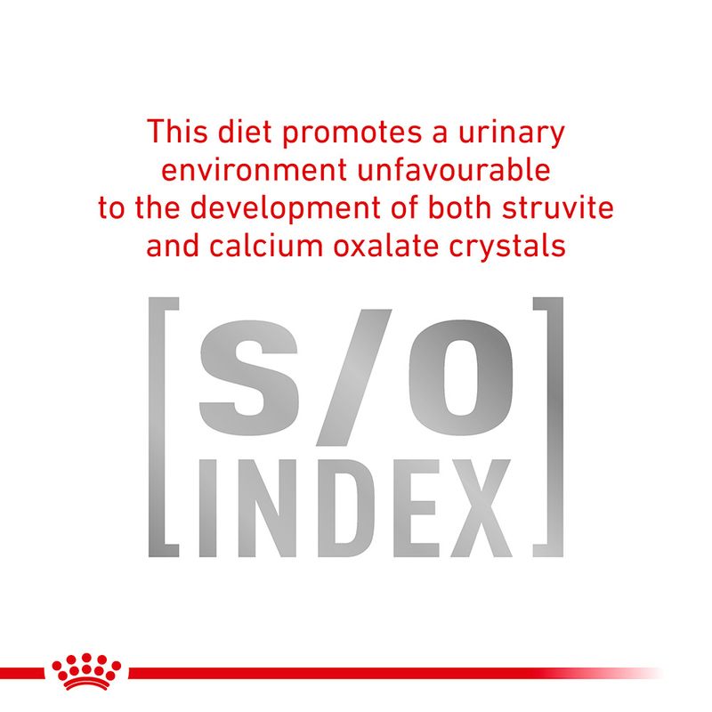 Royal Canin Veterinary Dog - Urinary S/O Loaf || Royal Canin Veterinary Diet || view 6