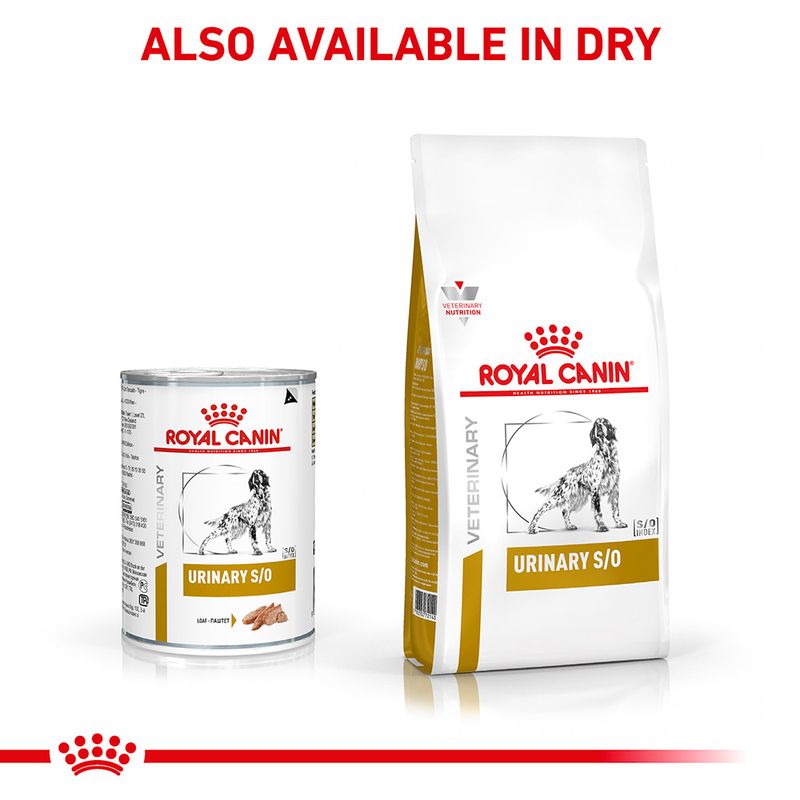 Royal Canin Veterinary Dog - Urinary S/O Loaf || Royal Canin Veterinary Diet || view 4