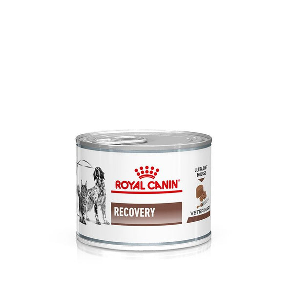 Royal Canin Veterinary Dog & Cat – Recovery Mousse || Royal Canin Veterinary Diet || view 1