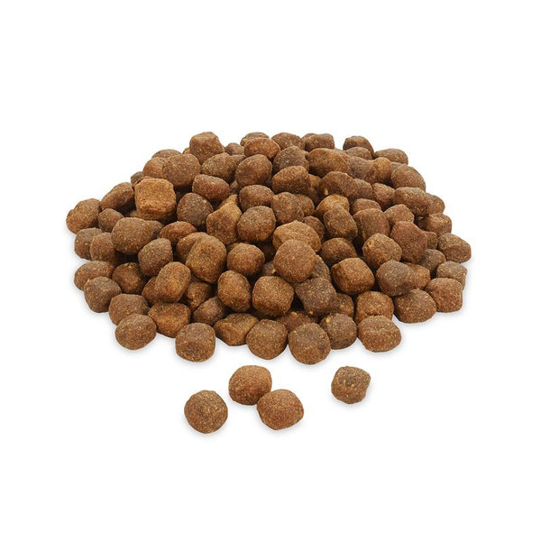 Rocco Mealtime Sensitive - Turkey & Chicken || Rocco || view 3