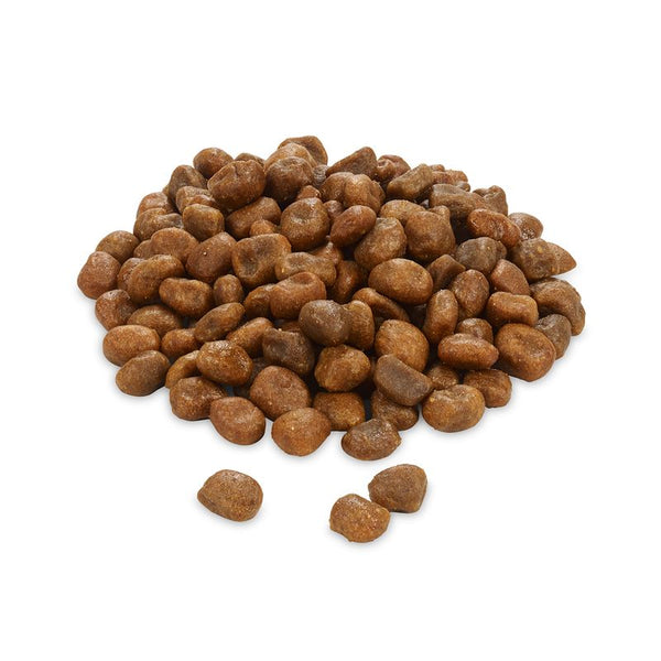 Rocco Mealtime Sensitive - Chicken & Duck || Rocco || view 3