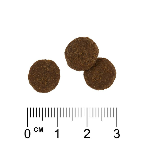 Rosie's Farm Fisherman's Medley with Salmon & Sweet Potato || Rosie's Farm || view 6