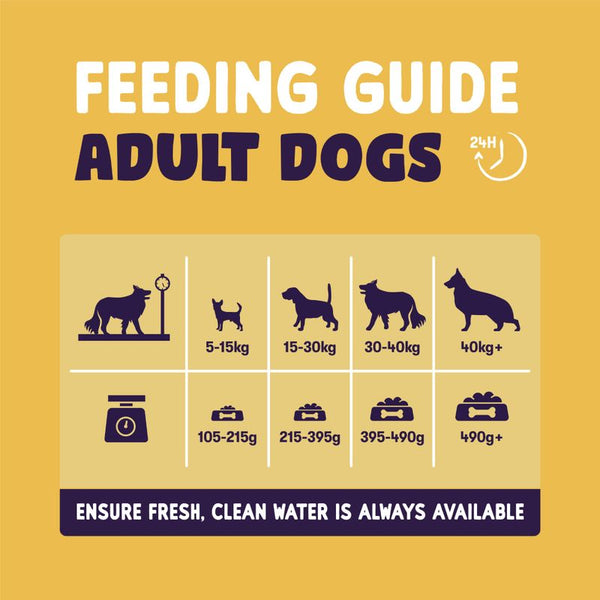 Burgess Sensitive Adult Dog Turkey || Burgess || view 5